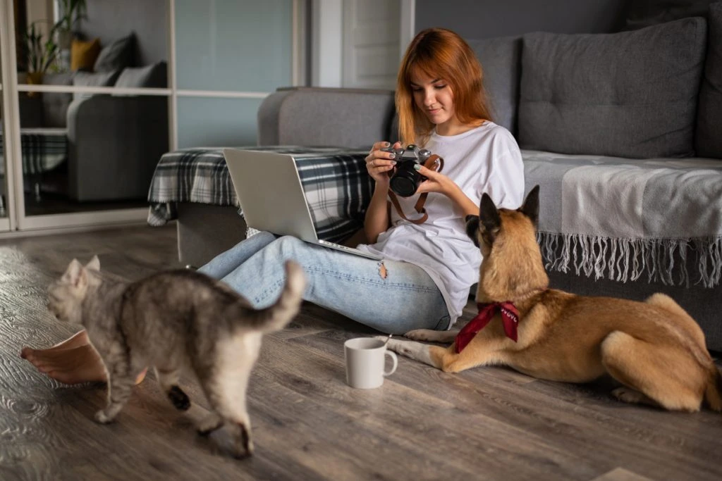 How Digital Tools Can Assist You in Preparing for Pet Euthanasia